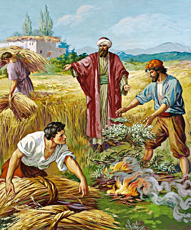 The parable of the weeds of the field